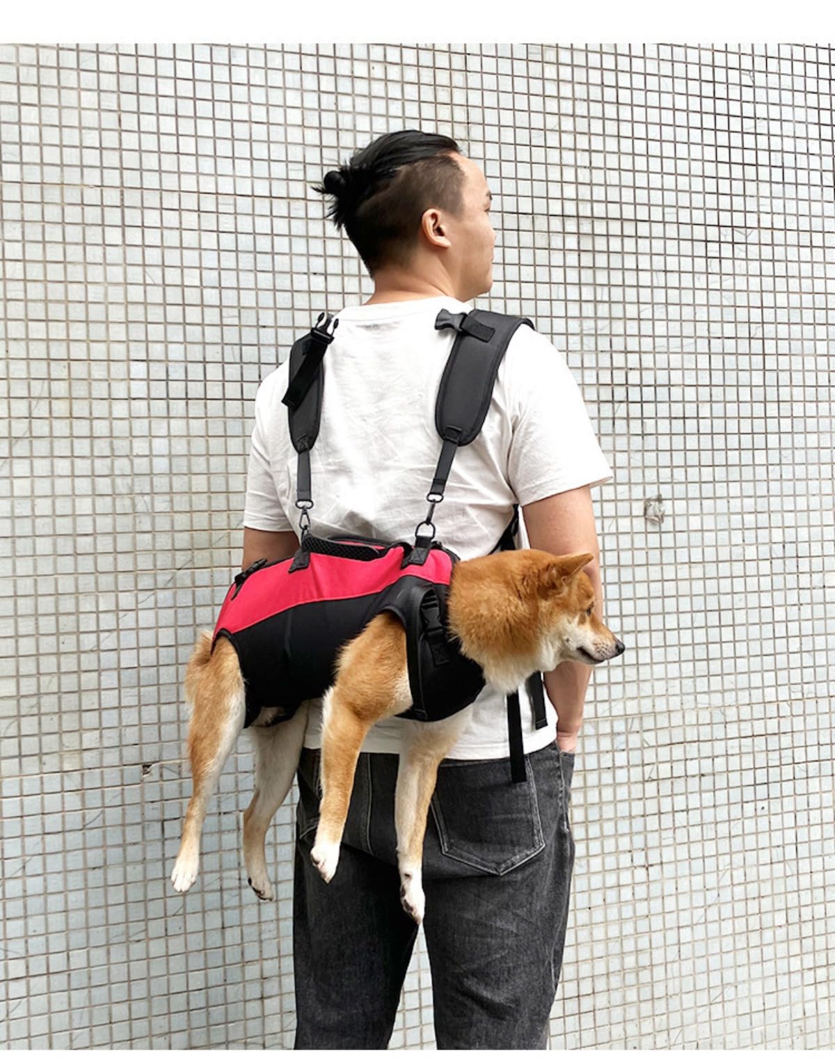 Amazon.co.jp: 中大型犬用リュックサック、ペット ペットキャリー